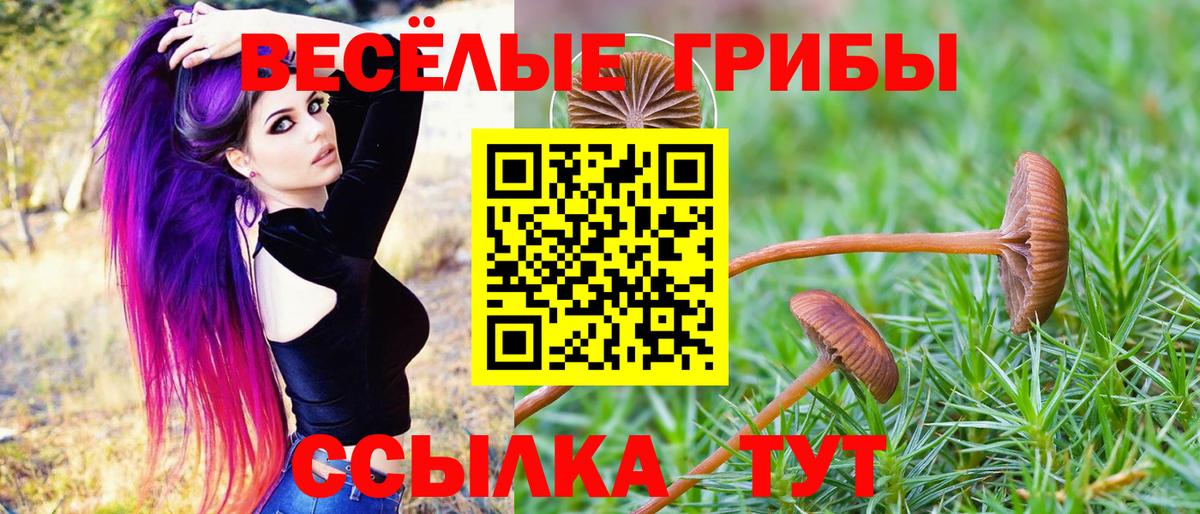 Галлюциногенные грибы GOLDEN TEACHER  Вход с VPN  Вичуга 